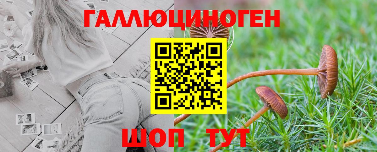 купить закладку  Вход с VPN  Мурманск  Галлюциногенные грибы мицелий 