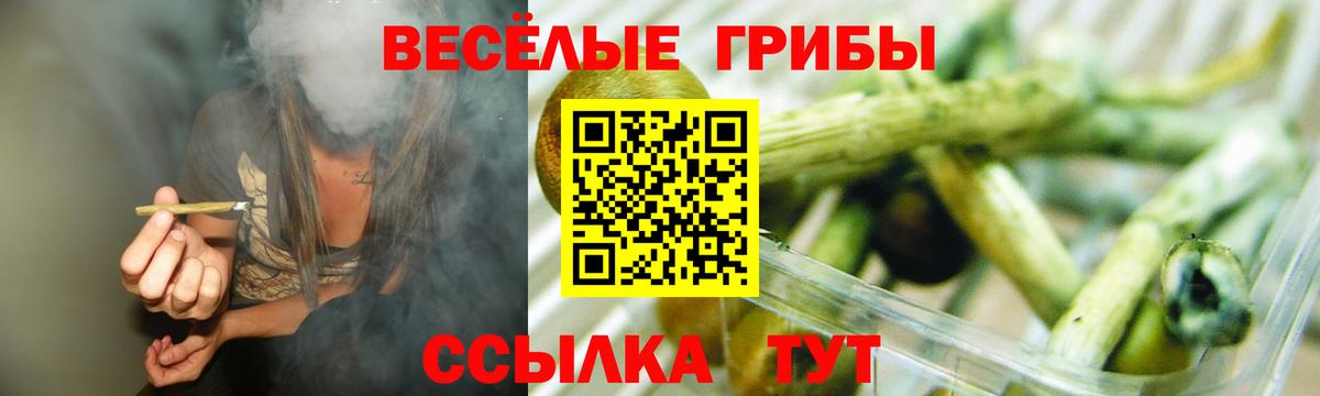 Псилоцибиновые грибы MAGIC MUSHROOMS  закладка  Мурманск 